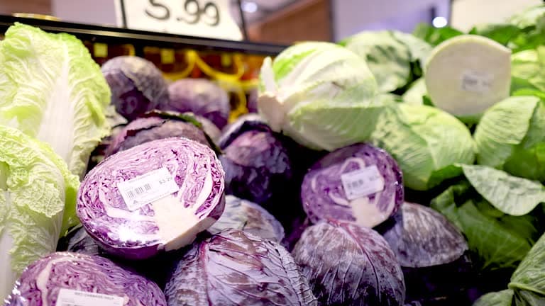 خرید کلم برگ قرمز تازه + فروش صادراتی